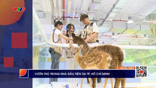 Thời sự: Phương Nam hôm nay (03/6/2025)