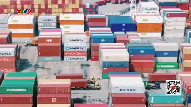 Cước vận tải biển tăng phi mã sau quyết định của Mỹ - Trung Quốc