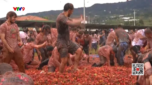 Lễ hội ném cà chua ở Colombia