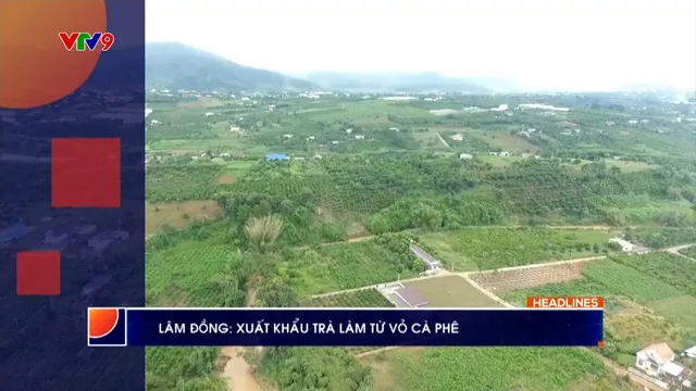 Thời sự: Phương Nam hôm nay (04/6/2025)