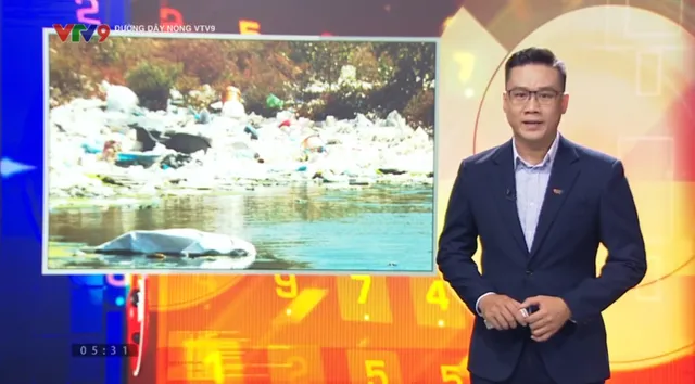 Đường dây nóng Alo V9 (5/5/2025): Kêu cứu vì ô nhiễm môi trường