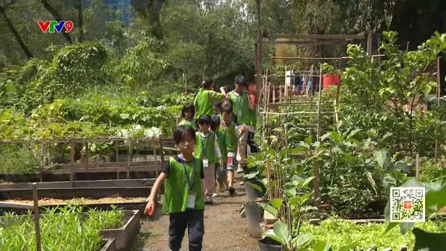 Đa dạng các chương trình trải nghiệm hè cho trẻ