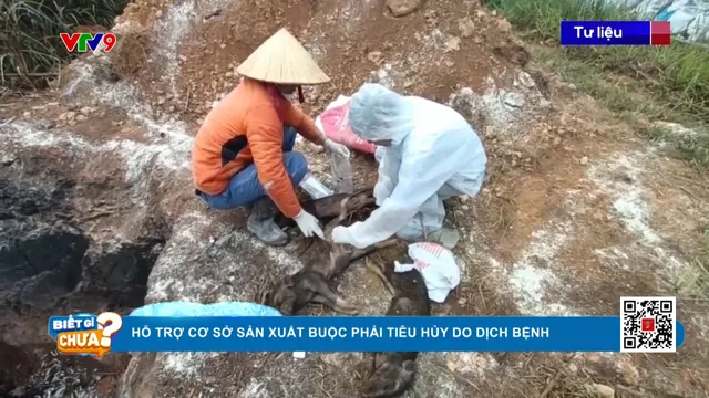 Thời sự: Biết gì chưa (07/6/2025)