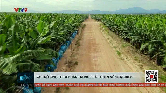 Vai trò kinh tế tư nhân trong phát triển nông nghiệp