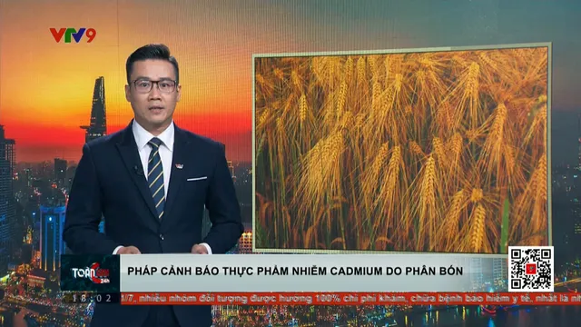Pháp cảnh báo thực phẩm nhiễm cadmium do phân bón
