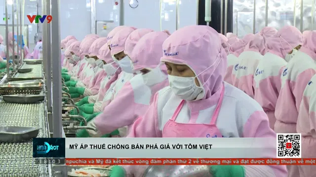 Thời sự: Toàn cảnh 24h (08/6/2025)
