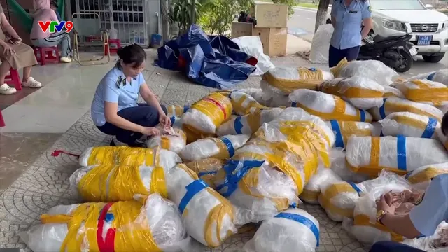 Alo Doctor (11/6/2025): Tạm giữ 700 kg mực khô vứt bỏ bên vỉa hè