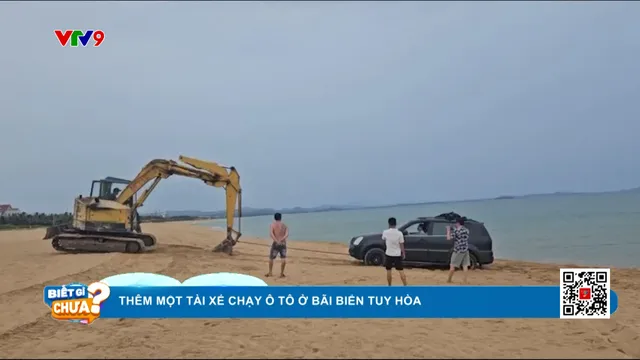Thêm 1 xe hơi chạy rồi mắc cạn ở bãi biển Tuy Hòa, tài xế bị công an mời làm việc