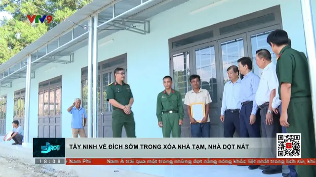 Thời sự: Toàn cảnh 24h (12/6/2025)