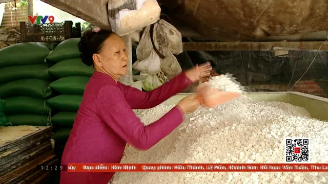 Ấn tượng Phương Nam: Từ nghề truyền thống đến di sản quốc gia