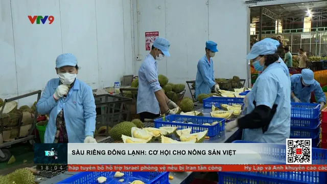 Sầu riêng đông lạnh sang Trung Quốc có mở cơ hội tỷ đô cho nông sản?
