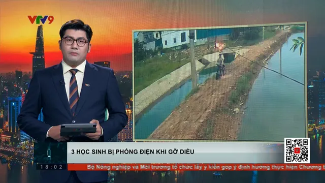 3 học sinh bị phóng điện khi gỡ diều