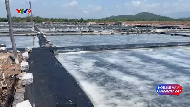 Dân không đồng thuận với mức đền bù ruộng muối