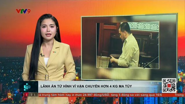 Lãnh án tử hình vì vận chuyển hơn 4 kg ma túy từ Đức về Việt Nam