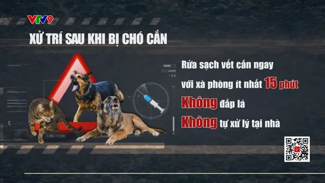 Cảnh báo tai nạn chó cắn trẻ em