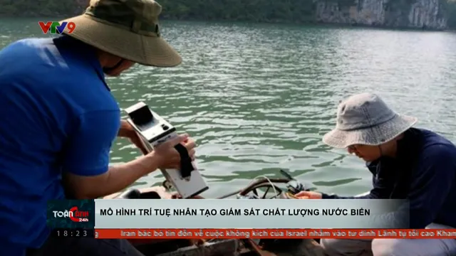 Mô hình AI giám sát chất lượng nước biển