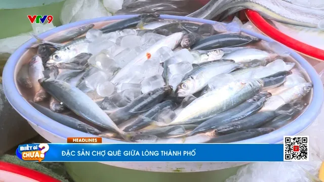 Thời sự: Biết gì chưa (20/6/2025)