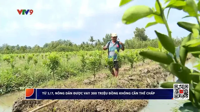 Từ 1/7, nông dân được vay 300 triệu đồng không cần thế chấp