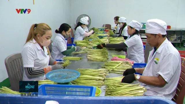 Sáp nhập và cơ hội để HTX OCOP nâng tầm thương hiệu