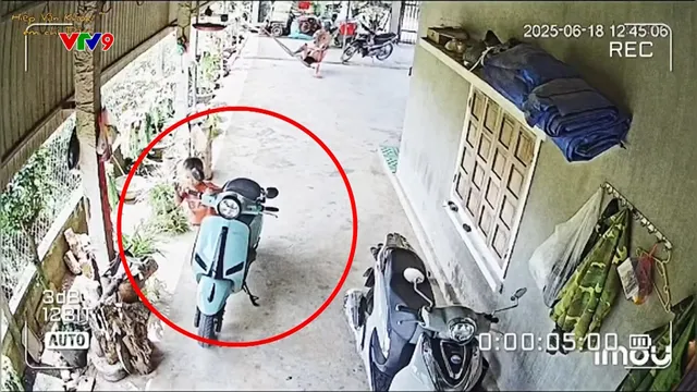 8 Giao thông: Hậu quả của lơ đễnh