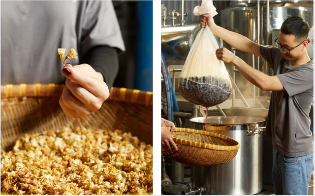 Junbucha – The new craze in the world of fermented beverages - Ảnh 3.