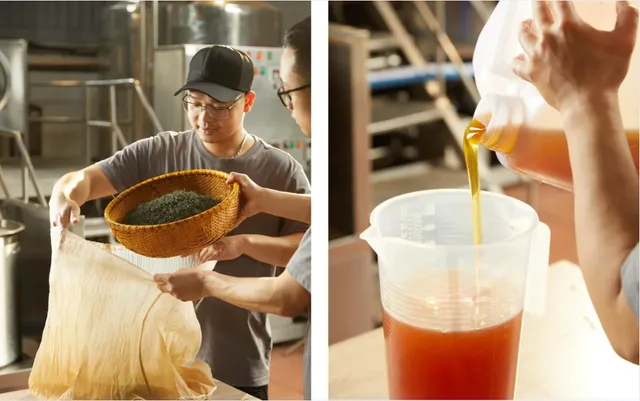 Junbucha – The new craze in the world of fermented beverages - Ảnh 2.