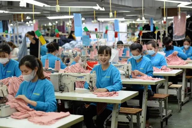 Vietnam’s textile industry surges ahead, fueled by strong alliance: insider - Ảnh 1.