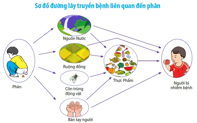 Phòng chống giun sán để bảo vệ sức khỏe trẻ em- Ảnh 1. Phòng chống giun sán để bảo vệ sức khỏe trẻ em- Ảnh 1.