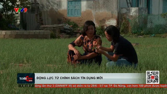 Thời sự: Toàn cảnh 24h (27/6/2025)