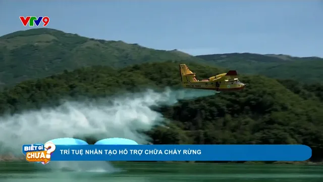 Trí tuệ nhân tạo hỗ trợ chữa cháy rừng