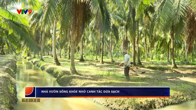 Nhà vườn sống khỏe nhờ canh tác dừa sạch