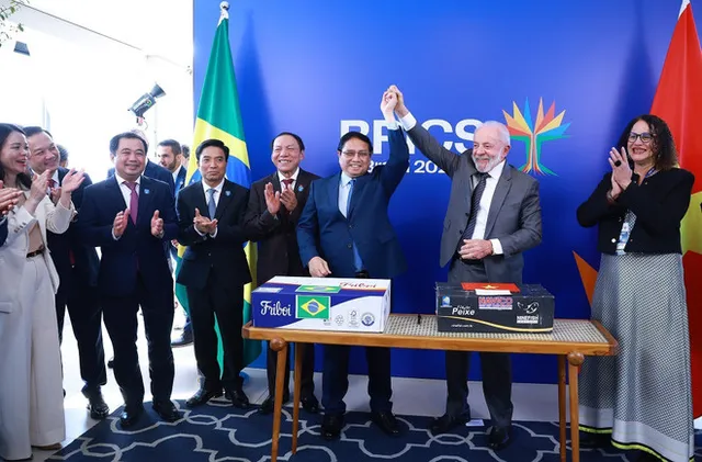 Vietnamese Prime Minister holds talks with Brazilian President in Rio de Janeiro - Ảnh 3.