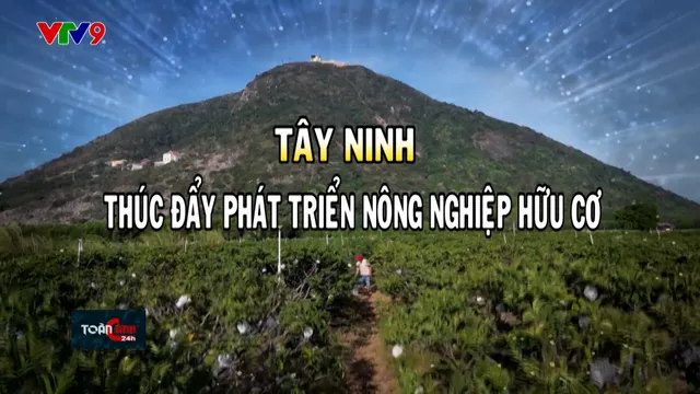 Năng động phương Nam (27/6/2025): Tây Ninh thúc đẩy phát triển nông nghiệp hữu cơ