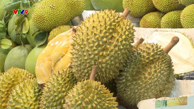Thấy gì từ việc nhập khẩu sầu riêng tăng gấp 6 lần