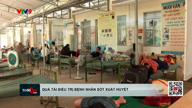 Khánh Hoà: Quá tải bệnh nhân điều trị sốt xuất huyết