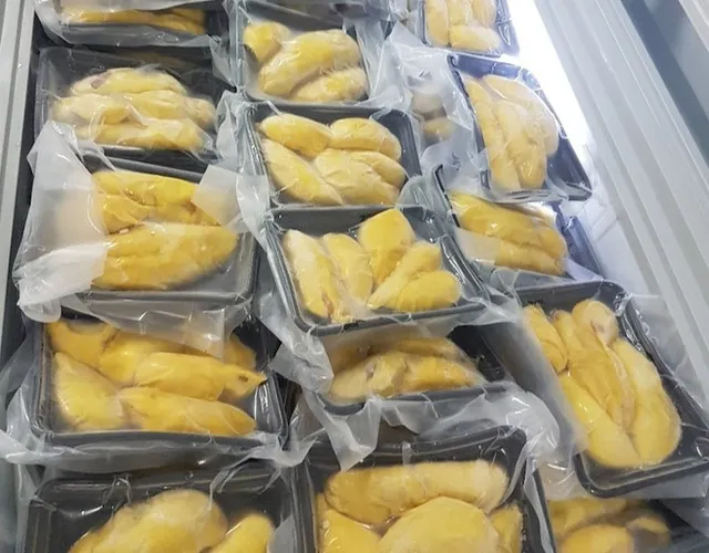 Vietnam exports first batch of frozen durian to China - Ảnh 1.