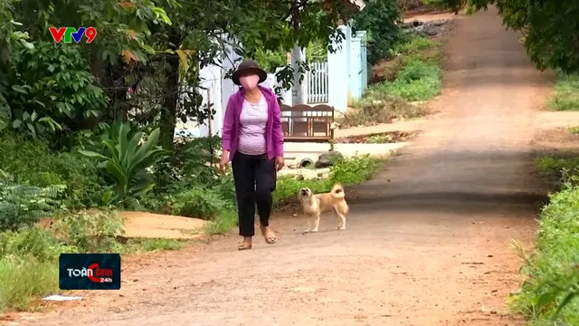 Cảnh báo tử vong do bệnh dại