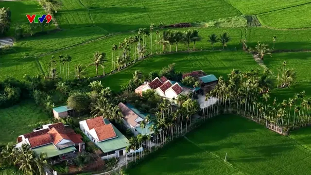Ấn tượng phương Nam: Bình yên dưới bóng cau quê