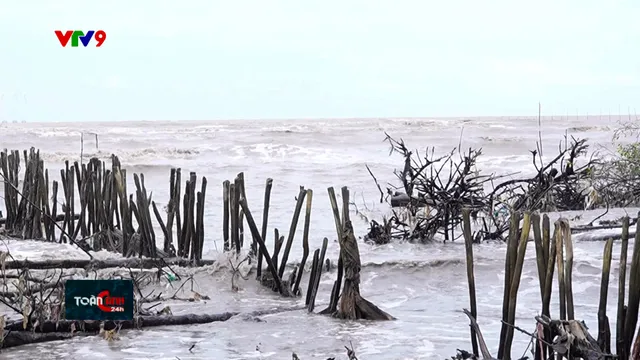 Đê biển Tây sạt lở nguy hiểm