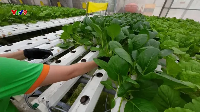 Sản phẩm hữu cơ tiếp cận Gen Z