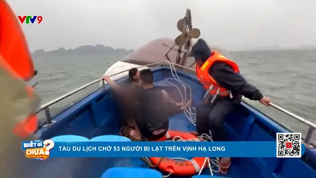 Tàu du lịch chở 53 người bị lật trên Vịnh Hạ Long