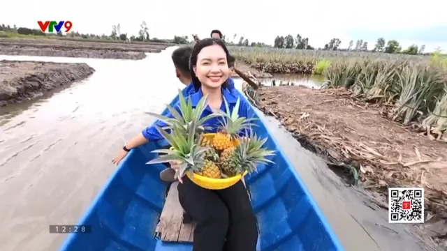 Ấn tượng Phương Nam: Khám phá cánh đồng khóm Cầu Đúc