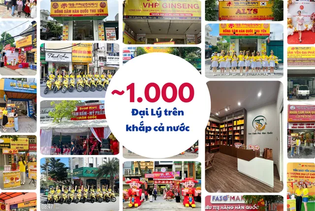 Daedong Korea Ginseng (DKG) – 15 năm giữ vững vị thế sâm Hàn chính hãng tại Việt Nam- Ảnh 2. Daedong Korea Ginseng (DKG) – 15 năm giữ vững vị thế sâm Hàn chính hãng tại Việt Nam- Ảnh 2.
