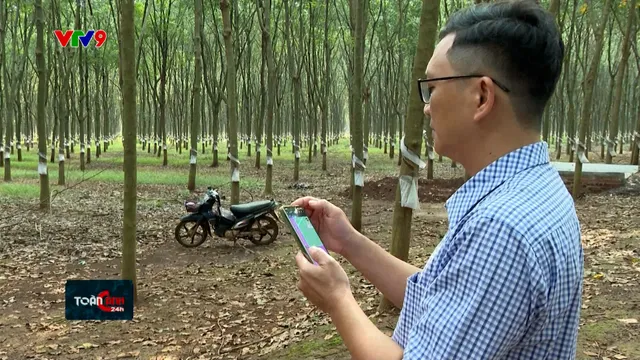 Sản xuất xanh - Mở đường để xuất khẩu bền vững