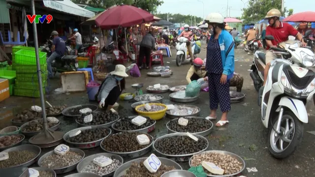 Đường dây nóng AloV9 (14/7/2025)