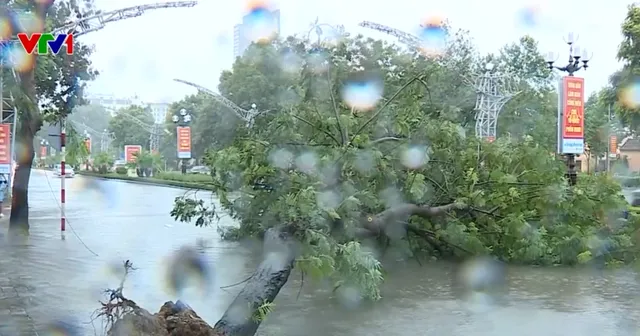 CẬP NHẬT: Bão số 3 suy yếu thành áp thấp nhiệt đới, cảnh báo lũ quét, sạt lở đất những giờ tới - Ảnh 3.