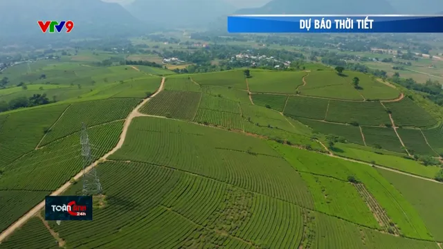 Dự báo thời tiết (23/7/2025)