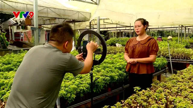 Bán hoa kiểng qua sàn thương mại điện tử