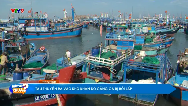 Thời sự: Biết gì chưa (28/7/2025)