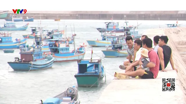 Phú Quý cấp thiết hoàn thiện khu neo đậu trước thiên tai